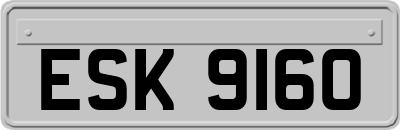 ESK9160