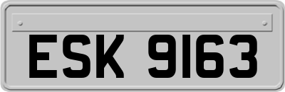 ESK9163