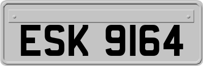 ESK9164