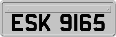 ESK9165