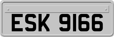 ESK9166