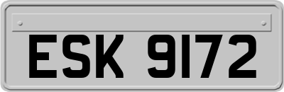 ESK9172