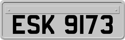 ESK9173