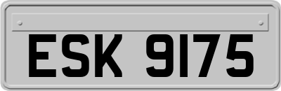 ESK9175