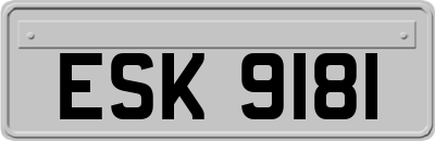 ESK9181
