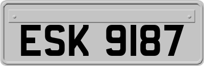 ESK9187