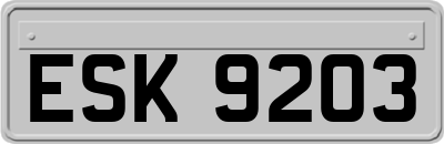 ESK9203