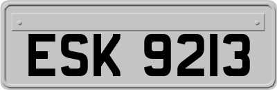 ESK9213