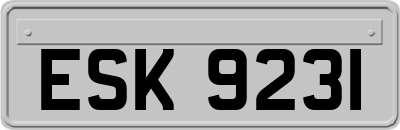 ESK9231