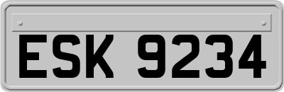 ESK9234