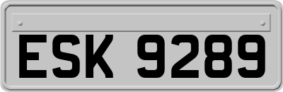 ESK9289