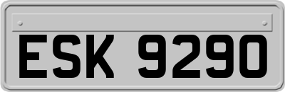 ESK9290
