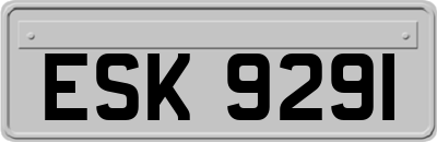 ESK9291