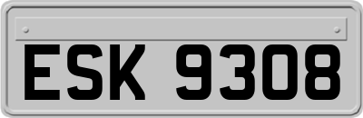 ESK9308