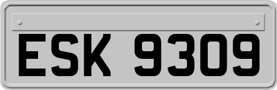 ESK9309