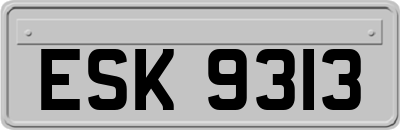 ESK9313