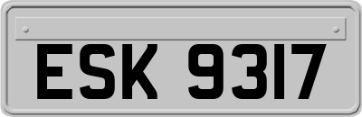 ESK9317