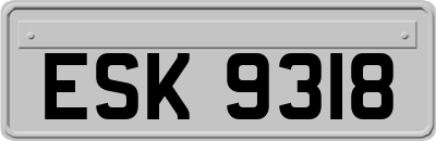 ESK9318