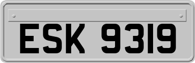 ESK9319
