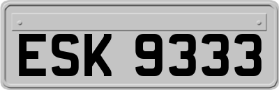 ESK9333