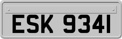 ESK9341