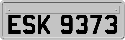 ESK9373