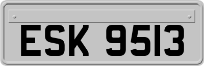 ESK9513
