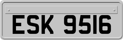 ESK9516