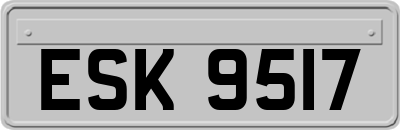 ESK9517