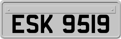 ESK9519