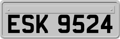 ESK9524