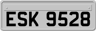 ESK9528