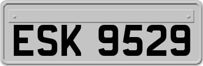 ESK9529