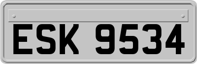 ESK9534