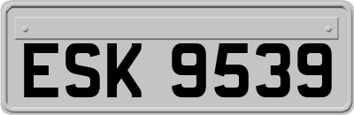 ESK9539