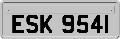 ESK9541
