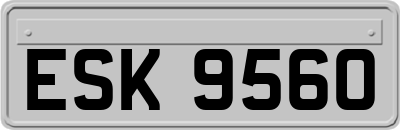 ESK9560