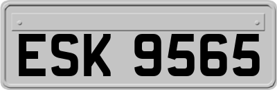 ESK9565
