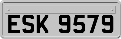 ESK9579