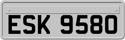 ESK9580