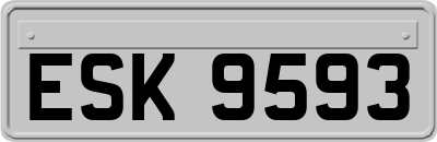ESK9593