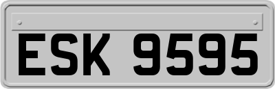 ESK9595
