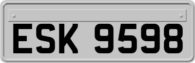 ESK9598