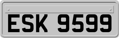 ESK9599