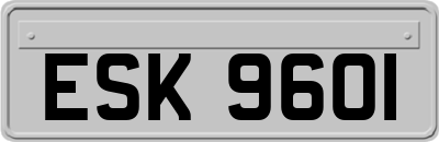 ESK9601