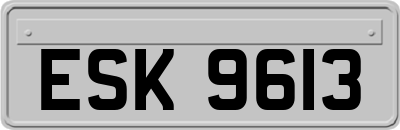 ESK9613