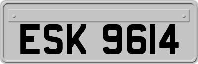 ESK9614