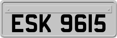 ESK9615