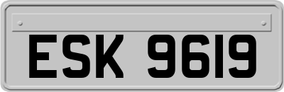 ESK9619