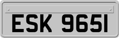ESK9651